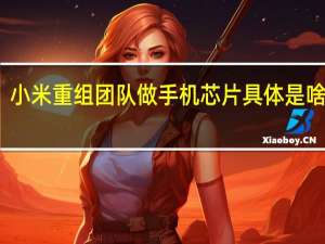 小米重组团队做手机芯片 具体是啥情况