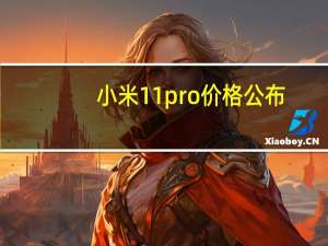 小米11pro价格公布（小米11Pro售价）