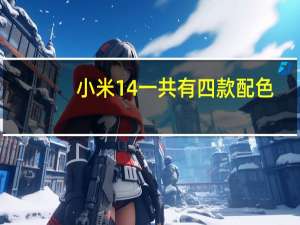 小米14一共有四款配色