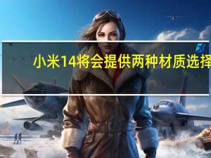 小米14将会提供两种材质选择