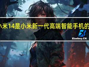 小米 14 是小米新一代高端智能手机的一部分