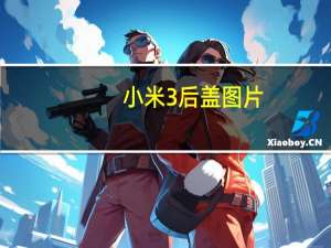 小米3后盖图片（小米3后盖能打开吗）