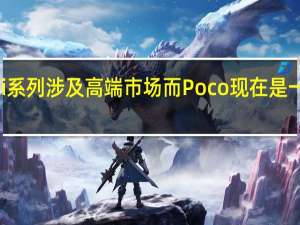 小米Mi系列涉及高端市场 而Poco现在是一个独立品牌