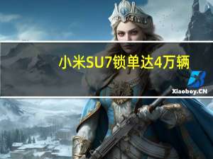 小米SU7锁单达4万辆，提车最长等待时间近8个月 具体是什么情况呢