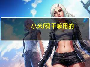 小米f码干嘛用的（小米f码有什么用）