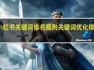 小红书关键词排名规则 关键词优化排名软件