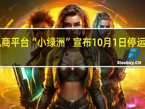 小红书旗下电商平台“小绿洲”宣布10月1日停运 10月31日正式关闭