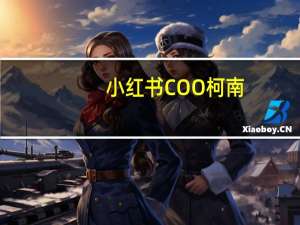 小红书COO柯南：过去一年小红书购买用户数翻了12倍