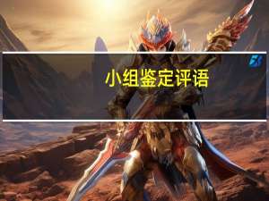 小组鉴定评语