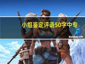 小组鉴定评语50字中专
