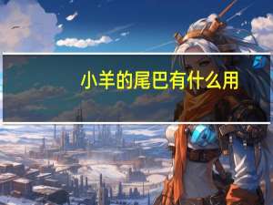 小羊的尾巴有什么用