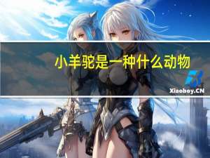 小羊驼是一种什么动物