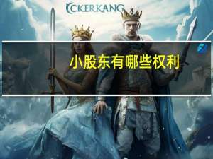 小股东有哪些权利