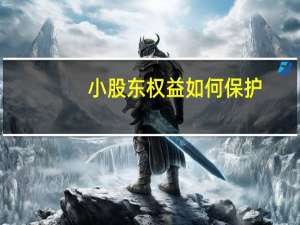 小股东权益如何保护