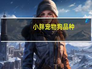 小胖宠物狗品种