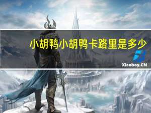 小胡鸭 小胡鸭卡路里是多少