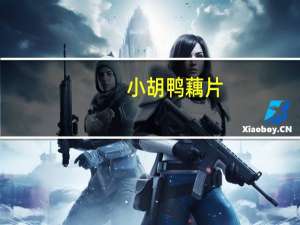 小胡鸭 藕片(香辣味)卡路里是多少