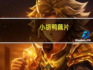 小胡鸭 藕片(香辣味)的热量是多少