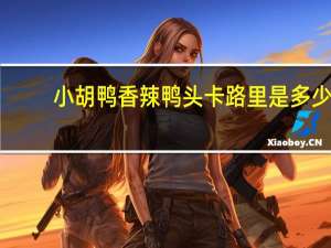 小胡鸭 香辣鸭头卡路里是多少
