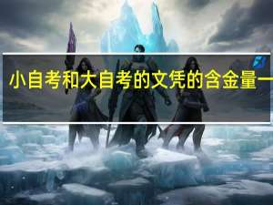 小自考和大自考的文凭的含金量一样吗