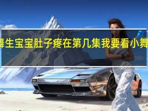 小舞生宝宝肚子疼在第几集 我要看小舞生宝宝了