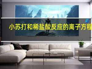 小苏打和稀盐酸反应的离子方程式（小苏打和稀盐酸反应）