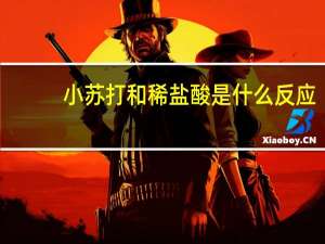 小苏打和稀盐酸是什么反应？