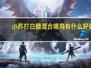 小苏打白醋混合喂鸡有什么好处
