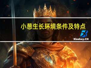 小葱生长环境条件及特点