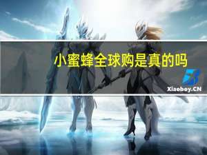 小蜜蜂全球购是真的吗