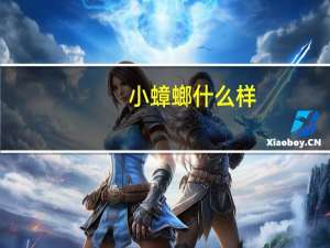 小蟑螂什么样