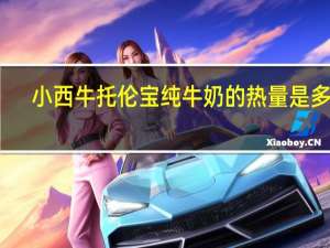 小西牛 托伦宝 纯牛奶的热量是多少