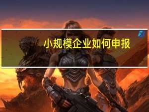 小规模企业如何申报