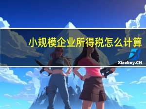 小规模企业所得税怎么计算