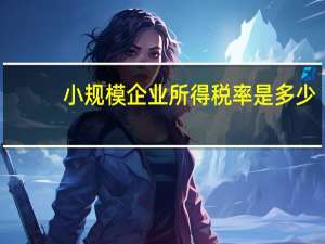 小规模企业所得税率是多少