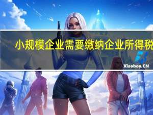 小规模企业需要缴纳企业所得税吗