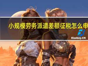 小规模劳务派遣差额征税怎么申报
