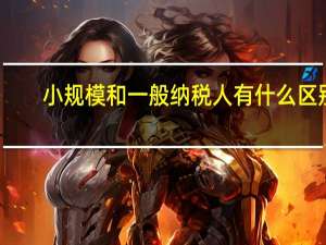 小规模和一般纳税人有什么区别