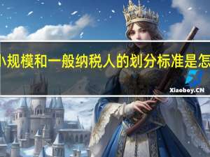 小规模和一般纳税人的划分标准是怎么样的