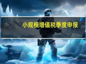小规模增值税季度申报（小规模企业增值税申报表怎么填）