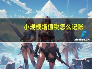 小规模增值税怎么记账（小规模增值税怎么计算）