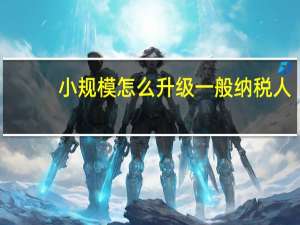 小规模怎么升级一般纳税人