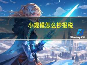 小规模怎么抄报税