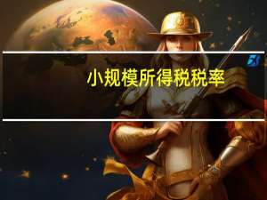 小规模所得税税率