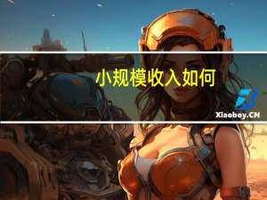 小规模收入如何