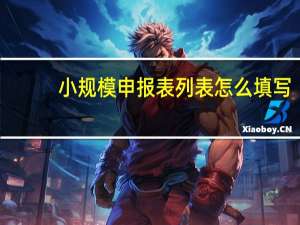 小规模申报表列表怎么填写