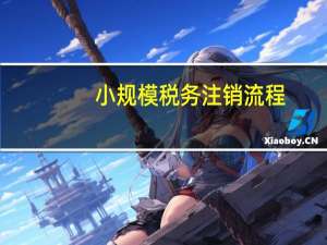 小规模税务注销流程