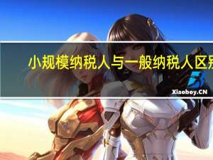 小规模纳税人与一般纳税人区别