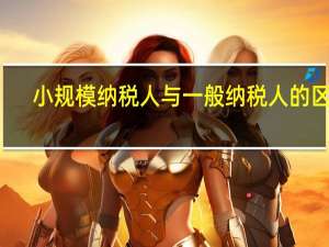 小规模纳税人与一般纳税人的区别