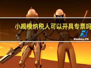 小规模纳税人可以开具专票吗